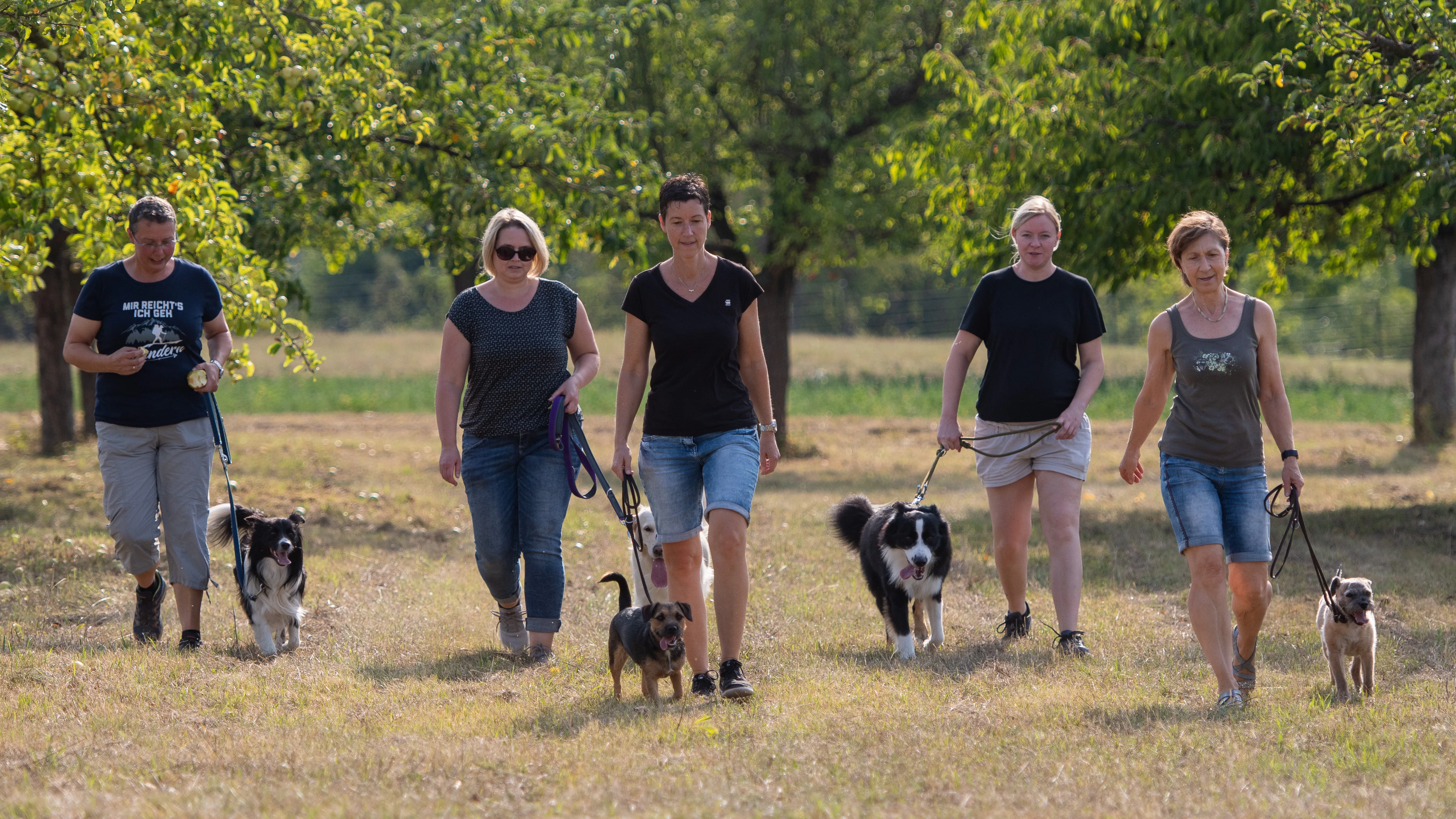 Hundegruppe im Kursangebot