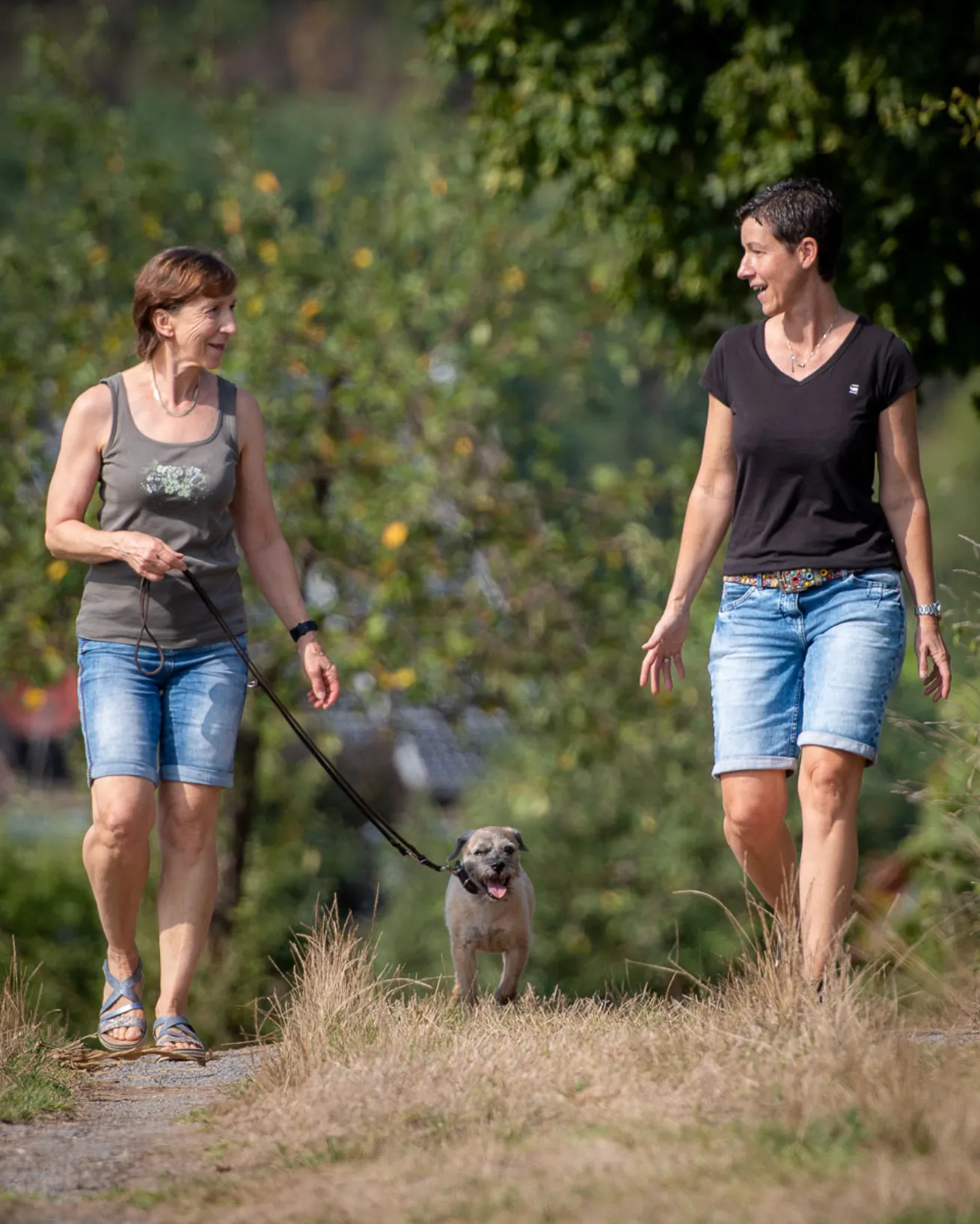 Hund im Einzeltraining auf der Wiese